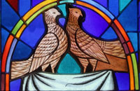 Peaceful doves - window ornaments at Immaculate Conception