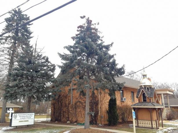 Ukrainian Catholic church in Palatine wants to expand